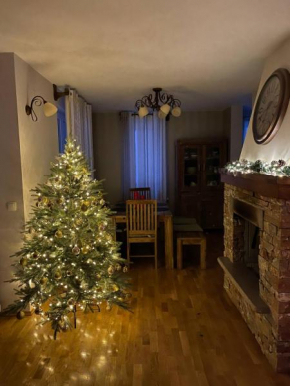 Remarkable home Bohinj Lake Bohinjska Bistrica